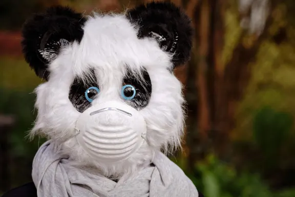 NoxWin Casino Ënnerstëtzung